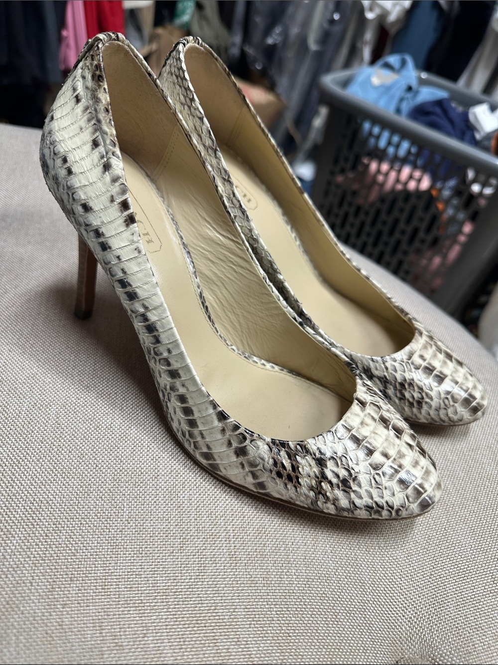 Coach Snake-Print Pumps size 6.5